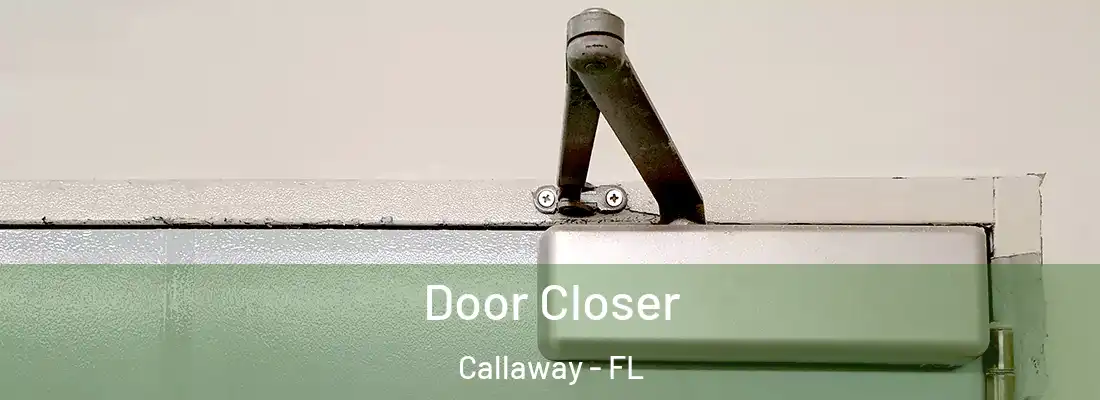  Door Closer Callaway - FL
