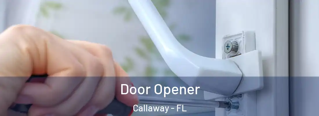  Door Opener Callaway - FL