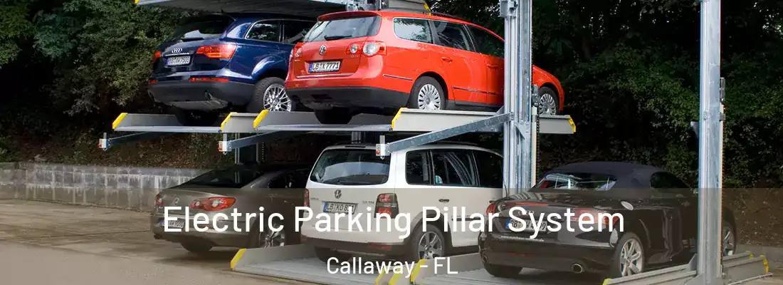  Electric Parking Pillar System Callaway - FL