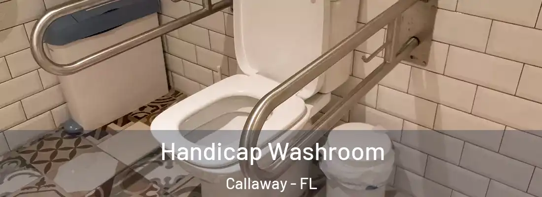  Handicap Washroom Callaway - FL