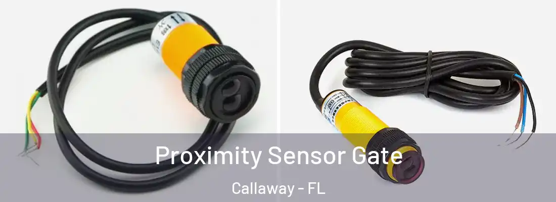  Proximity Sensor Gate Callaway - FL